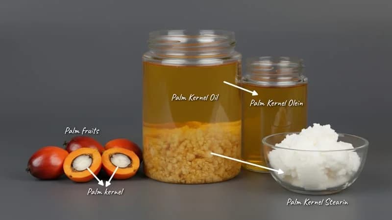 Palm Kernel Stearin – Oleochemicals product from Bio Green Wax