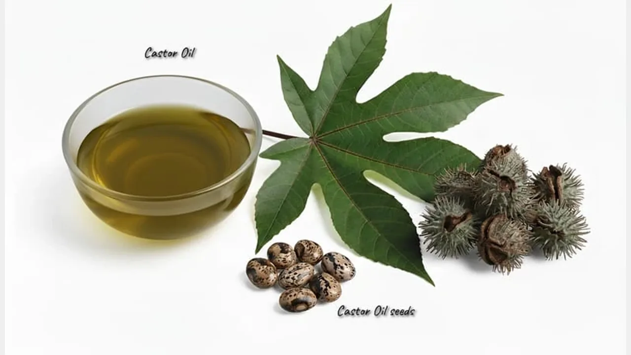 Castor Oil — feedstock option for Cosmetics
