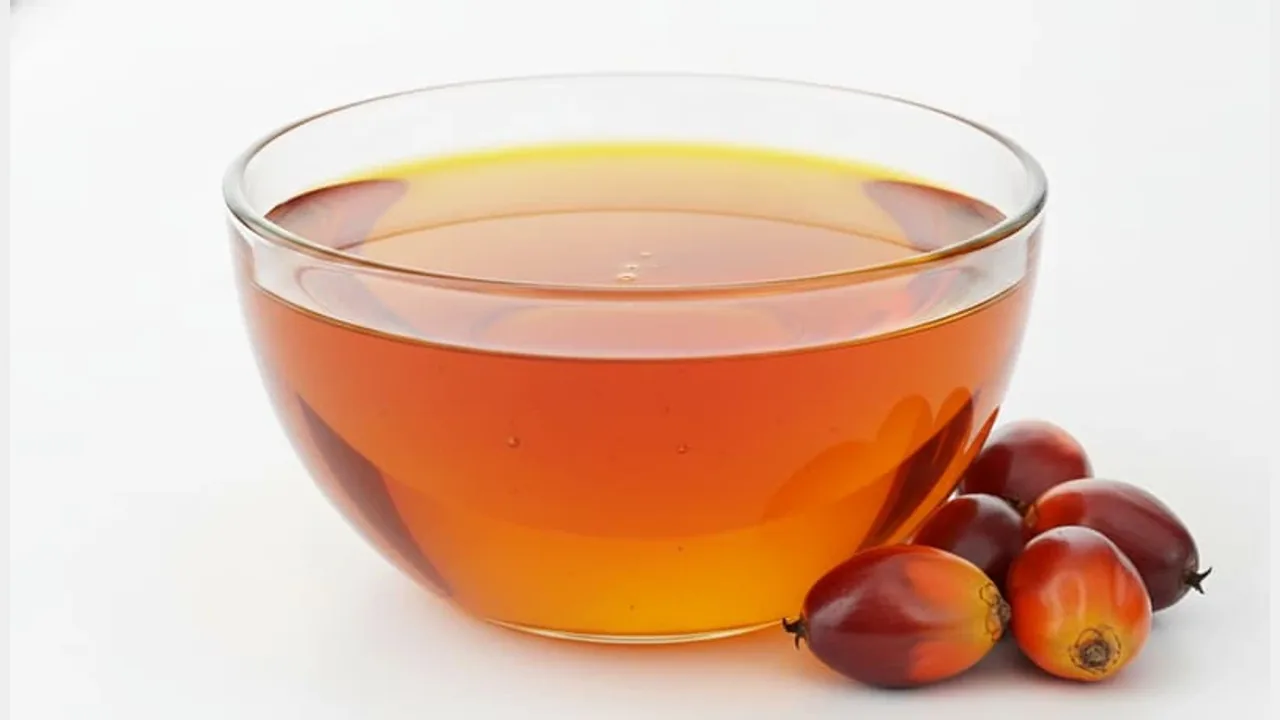 Palm Olein – edible-oils product