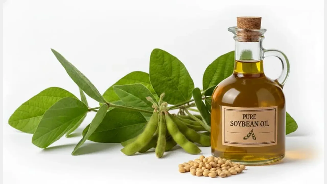 Soya Bean Oil – edible-oils product